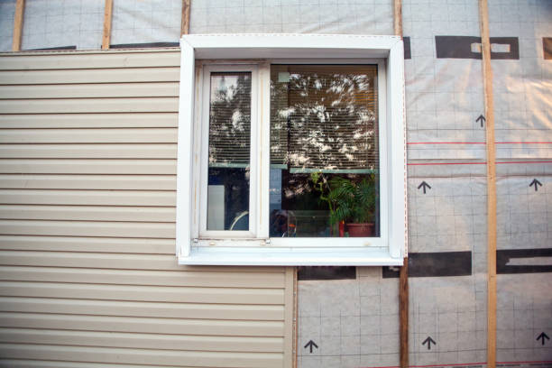 Best Aluminum Siding Installation  in Christopher, IL